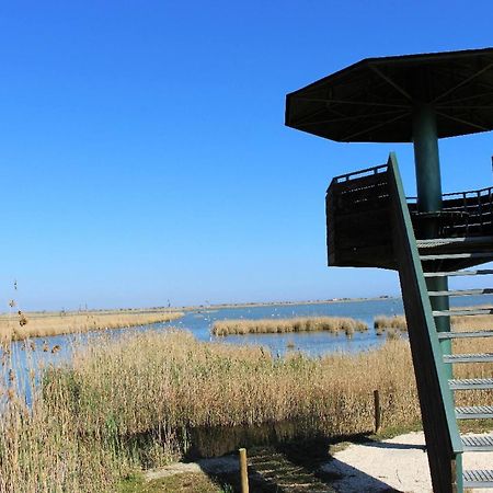 Quet - Casa Rural Con Piscina Privada En El Delta Del Ebro - Deltavacaciones Deltebre Extérieur photo